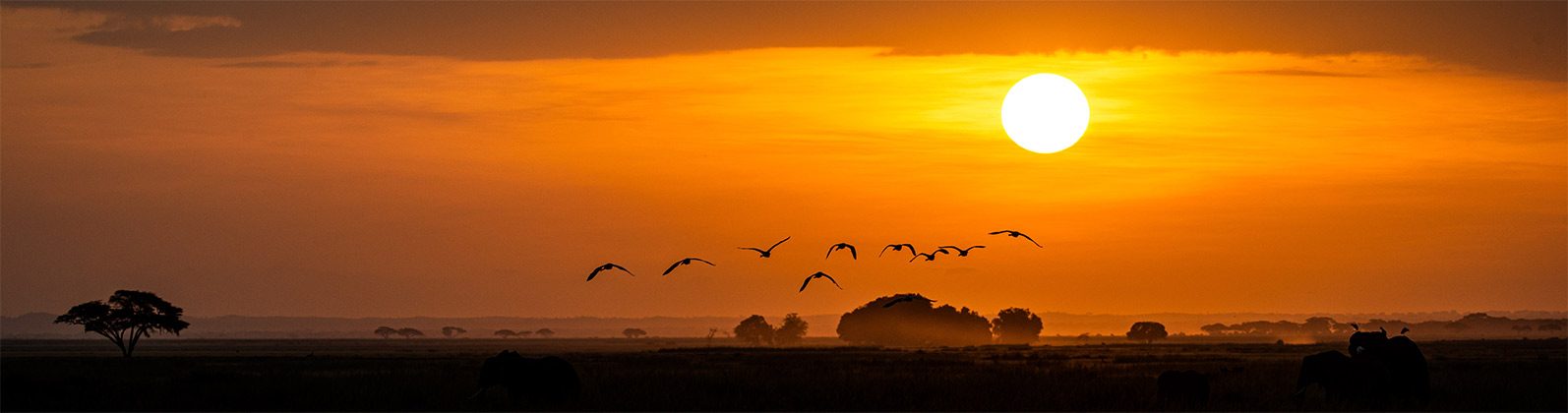 Servicepoint Pauschalreisen – Afrika Urlaub