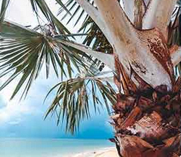 Übernachtung Glen Lorne Harare